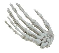 MAGICLULU 2Pcs Realistic Skeleton Hand Hair Clips Halloween Decoration Reusable Bone Props for Home Office Haunted House Party