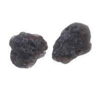 MAGICLULU 2pcs Rough Meteorite Stone Specimens for Classroom Teaching Science Decor Astronomy Collection Educational Meteorite Samples