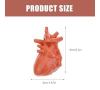 MAGICLULU 8pcs Montessori Teaching Props Set for - Realistic Human Anatomy Models Including Brain, Heart, Liver, Stomach, Lung, Kidney - Educational Simulation Models for Biology and Medical