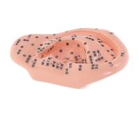 MAGICLULU Accurate Ear Reflexology Model for Tcm Education and Acupuncture Training Human Ear Massage Simulation Display with Meridian Points for Reflexology Practice and Therapy