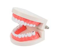 MAGICLULU Caries Teeth Model for Oral Health Education Tooth Brushing Demonstration Safe Hospital Educational Hand Eye Coordination Development