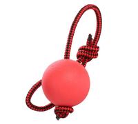 MAGICLULU Dog Chew Rubber Ball with String for PET Dogs Red | Launch Interaction, Reduce Boredom and Destructive Behavior, Solid Elastic Design, Ball for Dogs Random Color