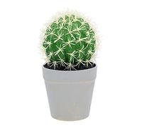 MAGICLULU Faux Cactus Bonsai Mini Potted Plant Simulation Succulent Artificial Greenery Home Garden Desk Decoration Random Color