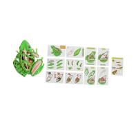 MAGICLULU Frog Dissection Kit Educational Model with Removable Parts for Science Learning Biology Teaching Tool Childsafe Materials Interactive Anatomy for Home and School