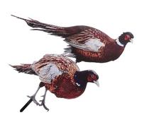MAGICLULU Garden Pheasant Acrylic Stake 2 Pieces Double-Sided UV Printed Yard Ornament for Outdoor Lawn and Flower Pot Decoration