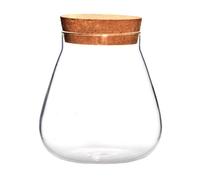 MAGICLULU Glass Bubble Bowl with Cork Lid, Round Vase for Moss and Succulent Planters, Storage Jar Suitable for Home Craft and Micro Landscape