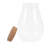 MAGICLULU Glass DIY Bryophyte Micro Landscape Terrarium Bottle with Cork Lid, 20x14cm Hydroponic Ecological Container for Indoor Plants and Betta Fish Display