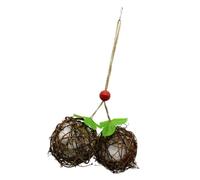 MAGICLULU Hanging Bird Nest Cotton Rattan for Parrot Garden Decor | Nest Material, Fresh Rustic Style, Eaves Placement, Wild Bird Use, Space Saving Design Random Style