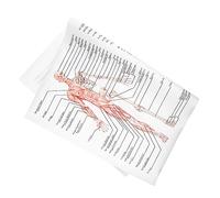 MAGICLULU Human Anatomy Poster 50x70cm (20x28in) Skeletal and Muscle Structure, Educational Anatomy Picture on 89 Silk Cloth for Classroom and Office Decoration