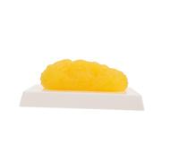 MAGICLULU Human Fatty Tissue Model for Students Realistic Yellow Anatomical Body Fat Demonstration Material Educational Tool for Nutritionists and Fitness Enthusiasts