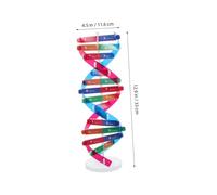 MAGICLULU Human Gene Dna Model Kit Double Helix Structure Educational Science Teaching Tool for School Laboratory Demonstrations and Gene Science Popularization