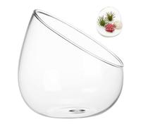 MAGICLULU Micro Landscape Ecological Bottle Lifelike Succulent Ecological Ornament Indoor Outdoor Thickened High Borosilicate Glass Terrarium Glass Jar Creative Decoration Detail Elegant