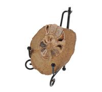 MAGICLULU Natural Ammonite Specimen with Stand Geological Model for Collection and Education Colorful Mineral Display for Science Teaching and Home Decor