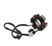 MAGICLULU Performance Copper Stator Coil for Chinese Scooter Engines Six-pole Powersports Ignition System Efficient Charging for Atv Moped and Scooter Models
