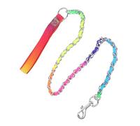 MAGICLULU Professional Dog Chain Leash for Puppy and Pet with Portable Design, Comfortable and Skin-friendly Pu Handle, Sturdy Iron Material, for Outdoor Walking and Training