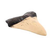 MAGICLULU Realistic Resin Megalodon Giant Sculpture for DIY Crafts and Offices, Collectible Educational Prehistoric Tooth Model for Enthusiasts and Ancient Creatures Fans