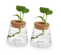 MAGICLULU Small Glass Planting Pots Hydroponic Vase 400Ml Capacity with Cork Lid Glass Hydroponic Flower Vase round Desktop Planter for Stylish Home and Office Decoration 2Pcs