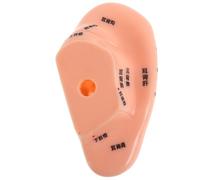 MAGICLULU Soft Silicone Ear Acupuncture Model 14cm for Chinese Medicine Teaching, Flexible Female Human Ear with Pressure Points for Auricular Therapy Practice