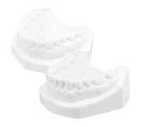 MAGICLULU Standard Tooth Model for Teaching with Vivid Lifelong Teeth and Gum Simulation Convenient for Education and Demonstration Easy to Clean and Use