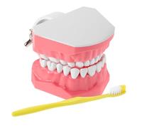 MAGICLULU Tooth Brushing Practice Model for Kids Educational Hygiene Training Aid Mouth Model for Teeth Care Teaching in Classrooms Large Typodont Demonstration Tool