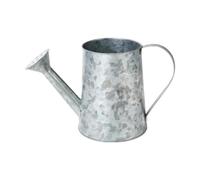 MagiDeal Antique Watering Can Vintage Design Metal Dried Flower Vase Decorative Watering Jug Can Tabletop Ornament for Indoor Outdoor