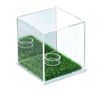 MagiDeal Baseball Display Case Golf Protector Unique Golf Ball Display Case Baseball Holder for Living Room