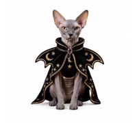MagiDeal Halloween Witch Cloak Cat Costume Cape Robe Outfit With Dramatic Drape And Comfortable Neck Closure Lightweight For suitable for holiday events themed, Midnight Moonlight Mysterious Witch