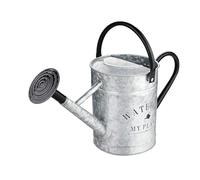 MagiDeal Metal Watering Can 4L Garden Watering Pot with Removable Spout Water Can for Indoor Outdoor Plants Farm Flower Lawn Vegetable
