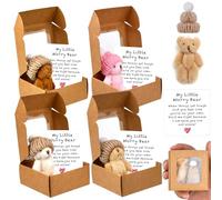 magimagi 4Pcs Worry Bear in A Box, Pocket Hug with Inspirational Card, My Little Worry Bear in A Box, Care Bears, Emotional Support Gift, Positive Gifts (B)