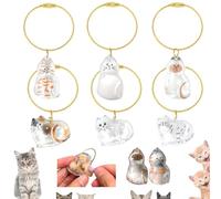magimagi Cat Hair Storage Keychain 6PCS,Cat Toy Box Capsules,Pet Hair Storage Bottle Keyring,Transparent Pet Hair Storage Box Pendants,Cute Pet Memorial Gifts