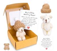 magimagi Worry Bear in a Box, Little Bear Hug in a Box for Women, Pocket Hug Mini ATeddyBear Cute Things for Friends, Thinking of You Gifts, Get Well Soon Gifts for Kids