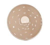 Magimix 5200XL 2mm Grating Disc