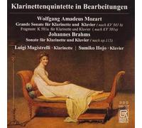 Magistrelli/Hojo - Mozart/Brahms: Clarinet Quintets arranged for clarinet & piano