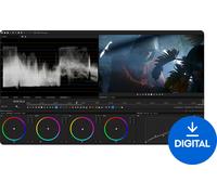 MAGIX VEGAS Pro Suite 22 (Digital product)