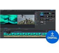 MAGIX Video Pro X 17 (Digital product)