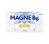 MAGNE B6