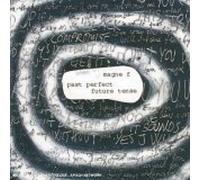 Magne F - Past Perfect Future Tense