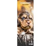 Magnet and Steel Calender - 15 x 42cm - Cocker Spaniel