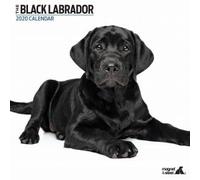 Magnet and Steel Calender - 30 x 30cm - Black Labrador