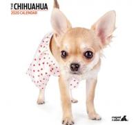 Magnet and Steel Calender - 30 x 30cm - Chihuahua