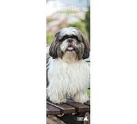 Magnet and Steel Calender Slim - 15 x 42cm - Shih Tzu
