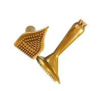 Magnet Massage Brush PVC Golden for 2pcs Traditional Chinese Therapy