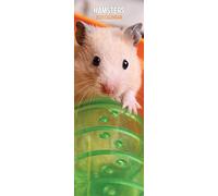 Magnet & Steel 2023 Slim Calendar, Multi-Colour