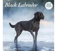 Magnet & Steel Black 2023 Deluxe Calendar, Multi-Colour