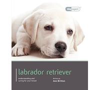 Magnet & Steel Labrador Retriever (This is a BOOK!) (Dog Expert)