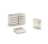 Magnet Store 10mm X 10mm X 2mm Block Neodymium Magnet N42 (1.41Kg Pull) - 50 Magnet(S)