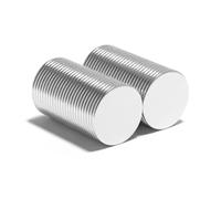 Magnet Store 15mm x 1mm Neodymium Disc Magnet N42 (0.91KG Pull) - Extra Strong for Crafts, Electronics, and DIY Projects (10)