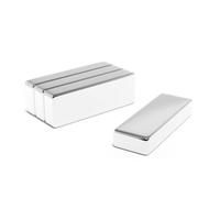 Magnet Store 30mm X 10mm X 5mm Neodymium Block Magnet N45 (8.08Kg Pull) - 5 Magnet(S)
