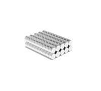 Magnet Store 6mm x 4mm Neodymium Disc Magnet N42 (1.10KG Pull) (10)