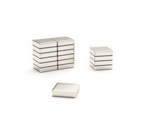 Magnet Store 8mm X 8mm X 2mm Neodymium Block Magnet N42 (1.04Kg Pull) - 200 Magnet(S)